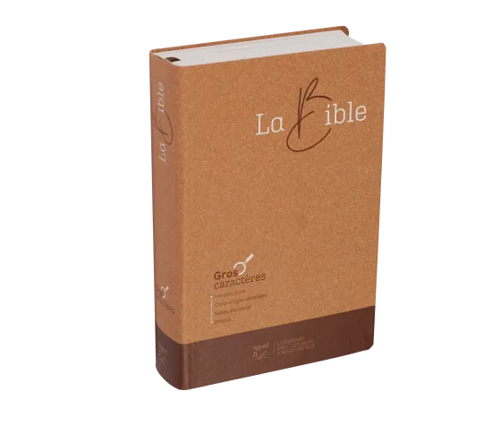 Bible SG21 gros caractères souple papier brun chiné