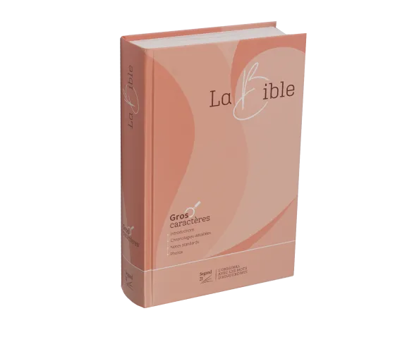 Bible SG21 gros caractères rigide rose