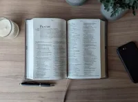 NLT premium gift Bible starlight path brown