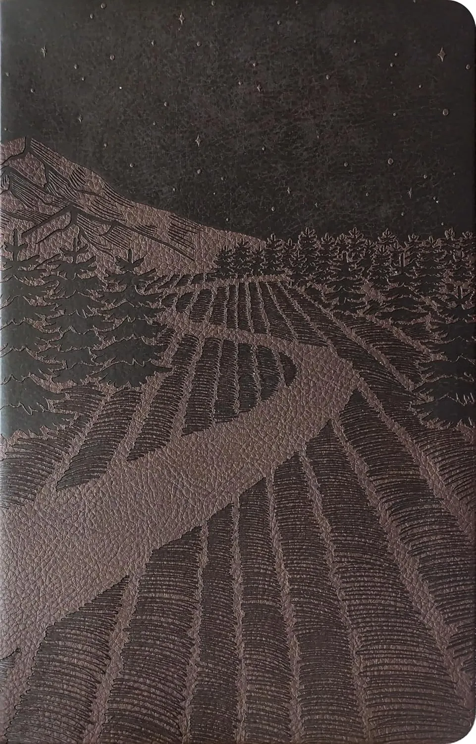 NLT premium gift Bible starlight path brown