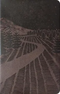 NLT premium gift Bible starlight path brown