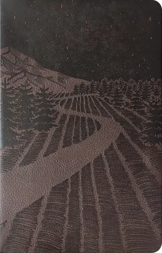 NLT premium gift Bible starlight path brown