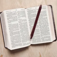 KJV LP compact Bible celtic cross brown leathertouch