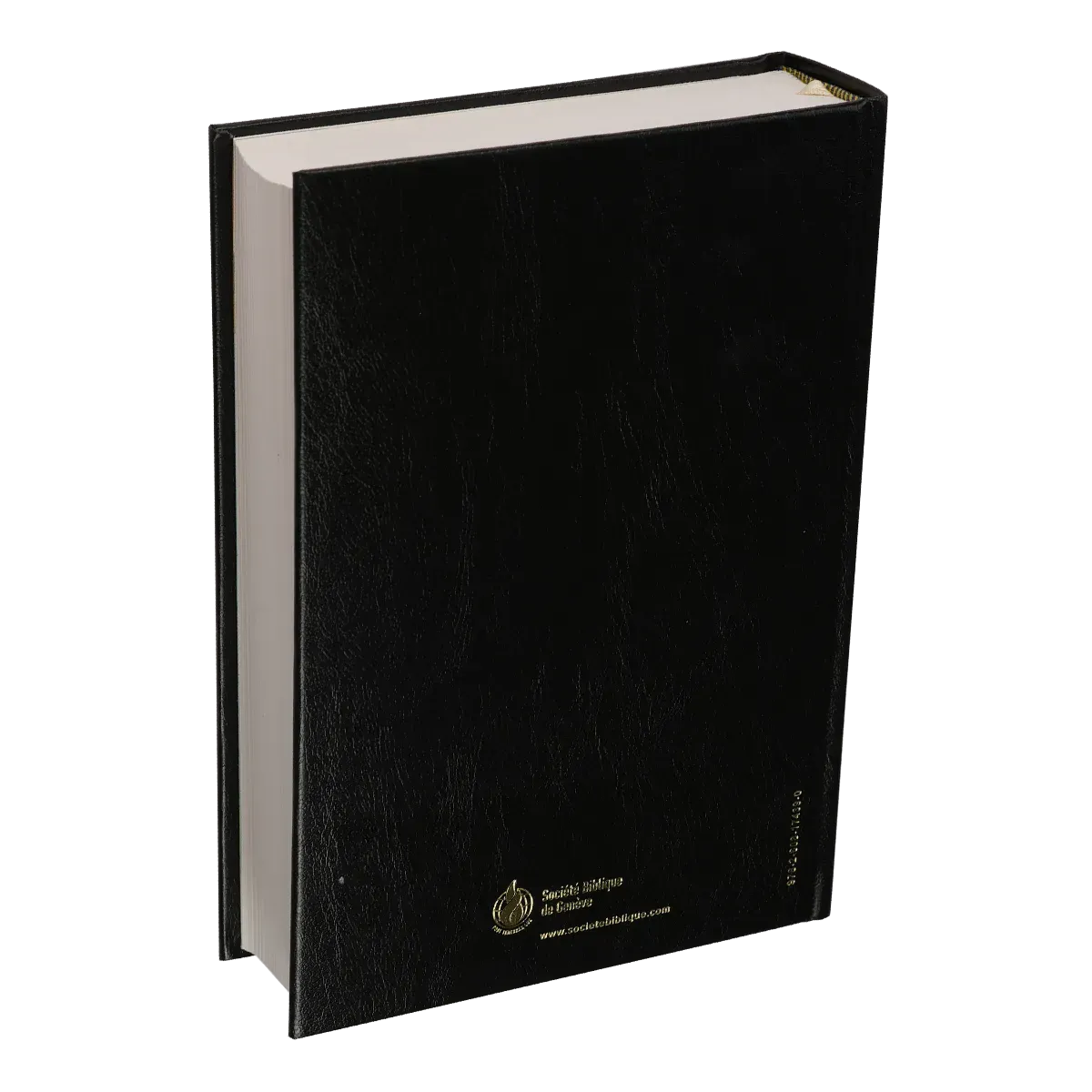 Bible NEG MacArthur rigide noir