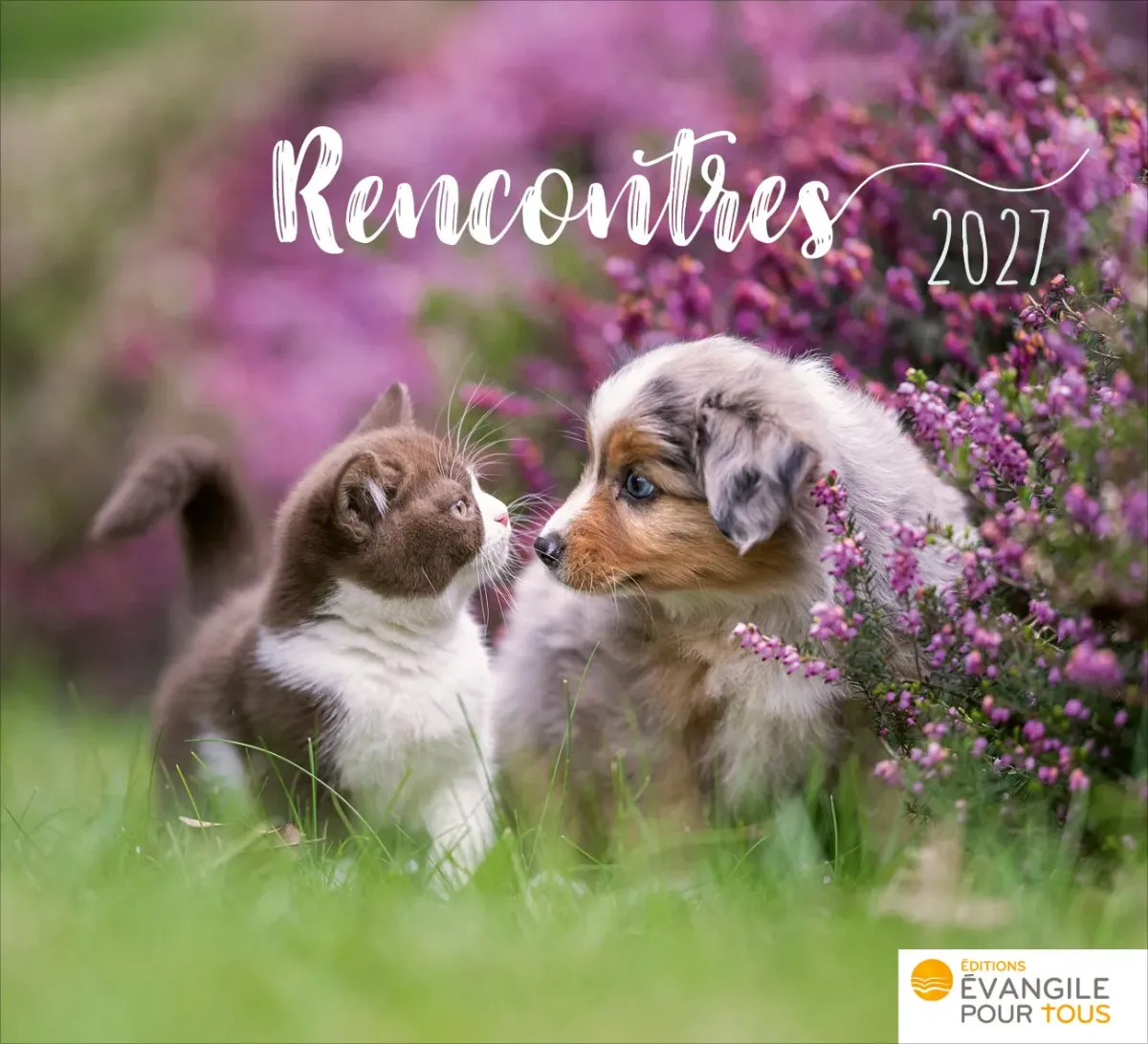 Calendrier - mini rencontres