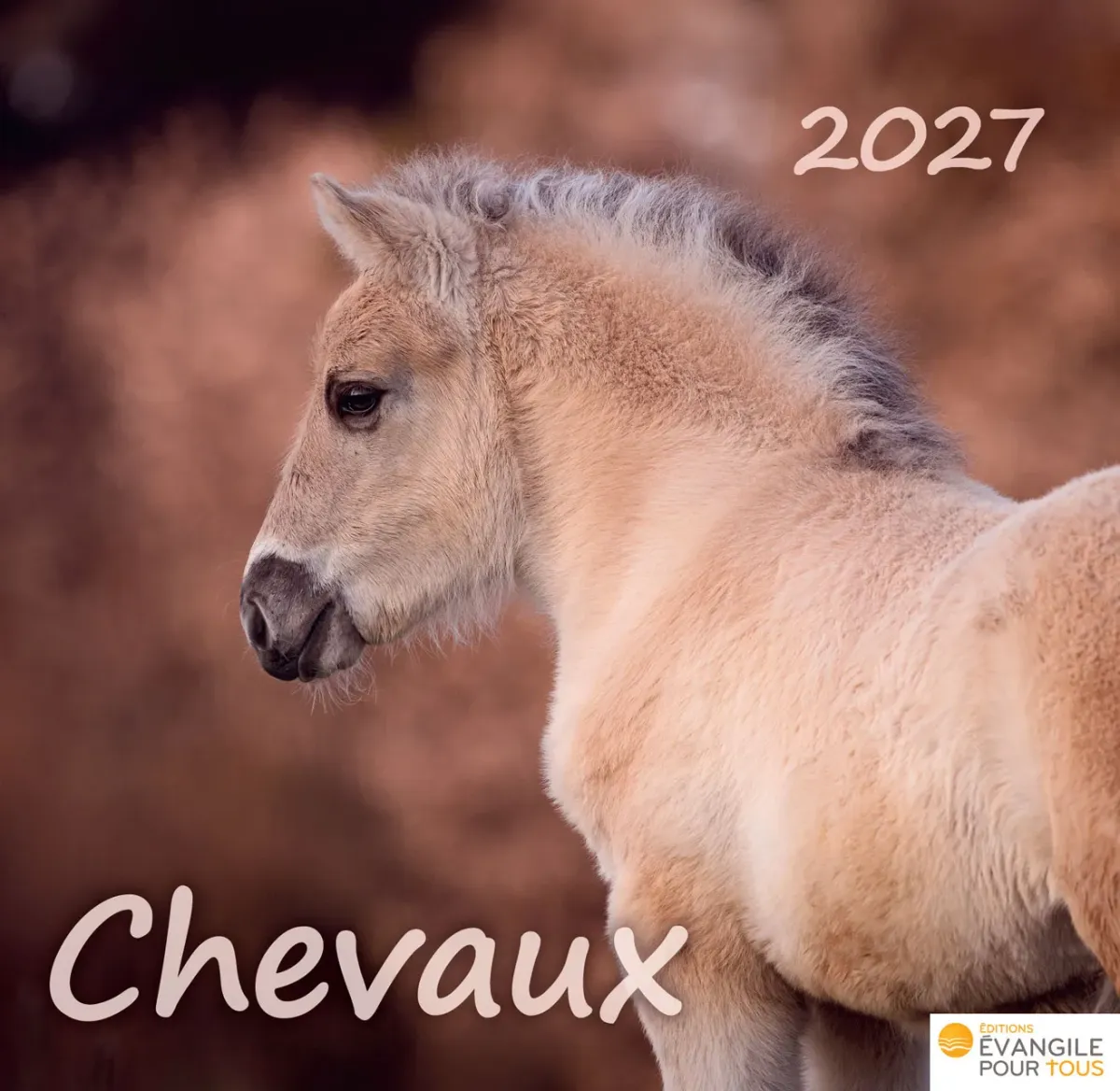 Calendrier - Chevaux - Merveilles de la création