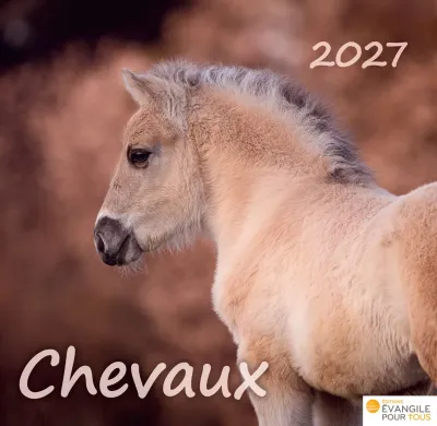 Calendrier - Chevaux - Merveilles de la création