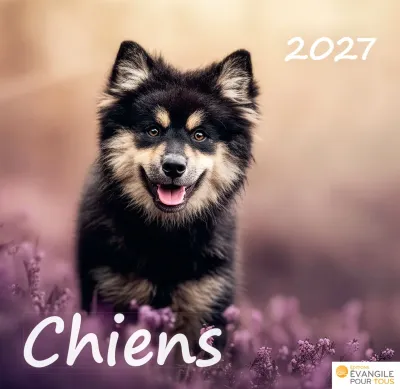 Calendrier - Chiens - Merveilles de la création