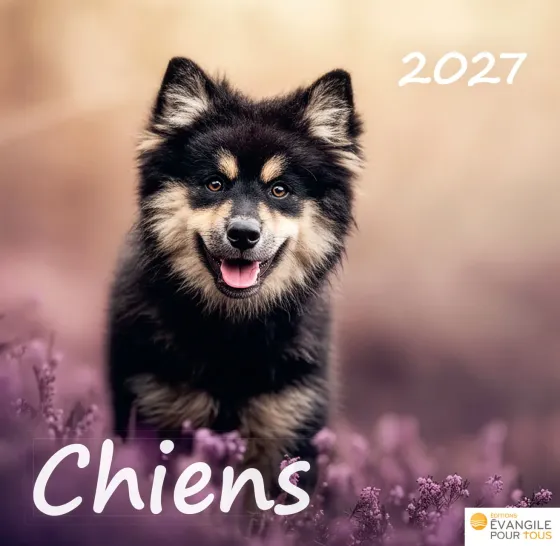 Calendrier - Chiens - Merveilles de la création