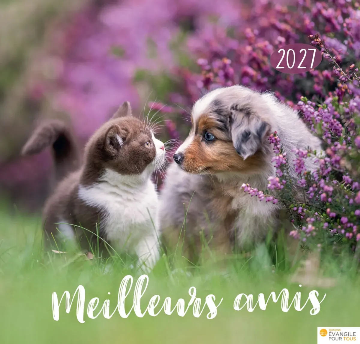 Calendrier - Meilleurs amis
