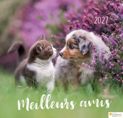 Calendrier - Meilleurs amis