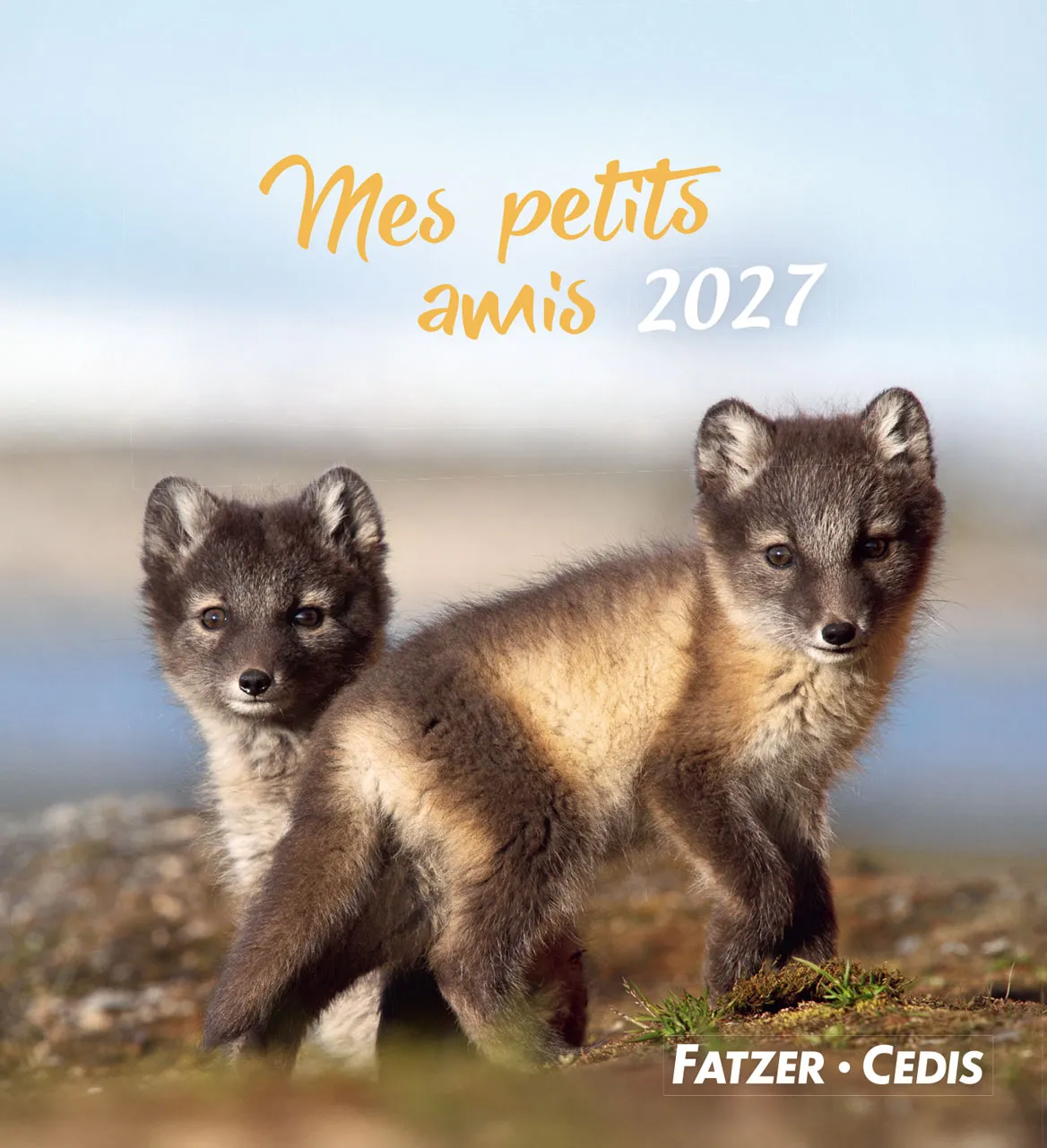 Calendrier - Mes petits amis