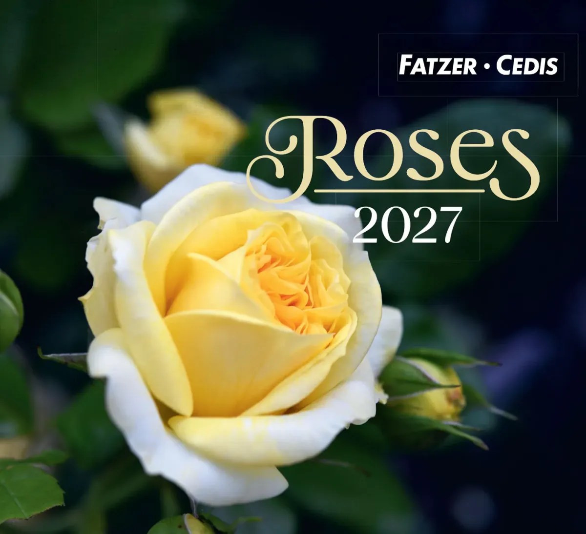 Calendrier - Roses (petit format)