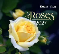 Calendrier - Roses (petit format)