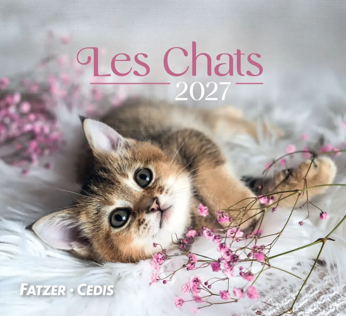 Calendrier - Les chats (petit format)
