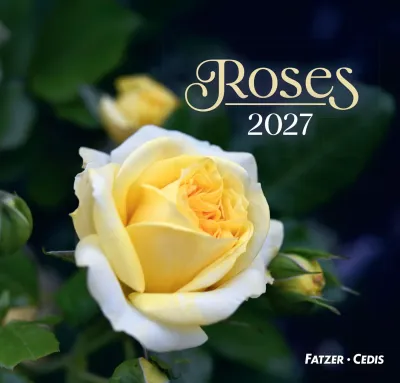 Calendrier - Roses (grand format)