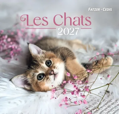 Calendrier - Les chats (grand format)