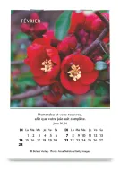 Calendrier - mini louanges