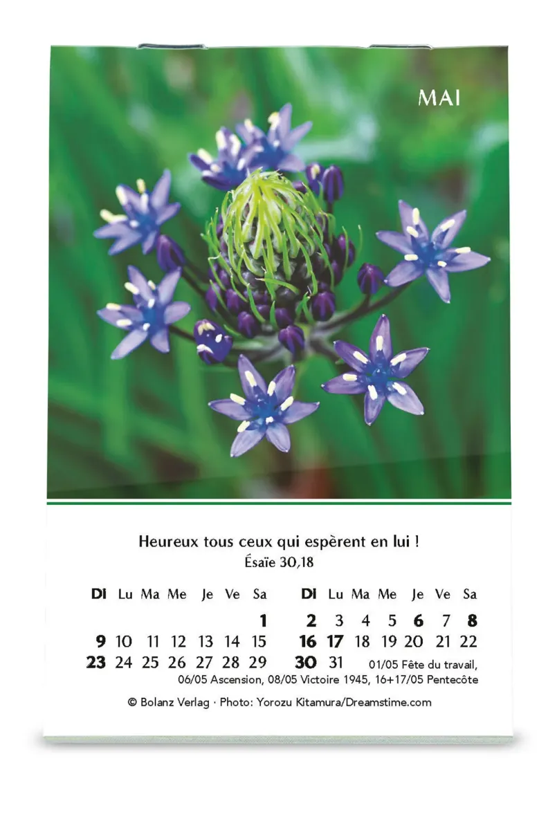 Calendrier - mini louanges