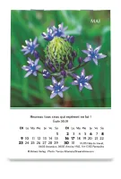 Calendrier - mini louanges