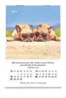 Calendrier - mini joie