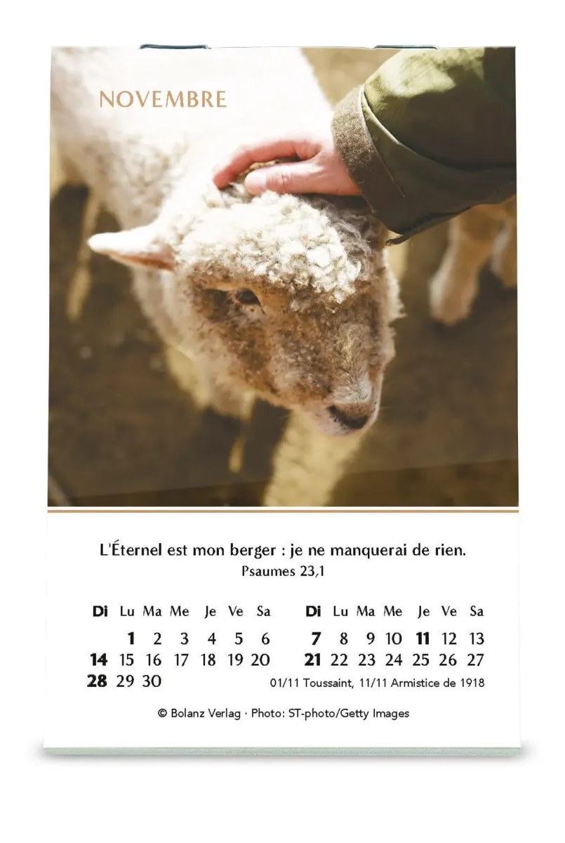 Calendrier - mini joie