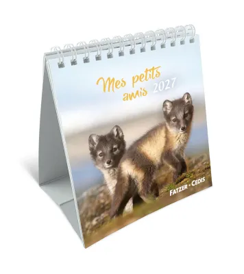 Calendrier - Mes petits amis