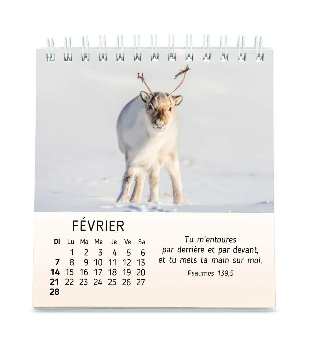 Calendrier - Mes petits amis