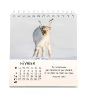 Calendrier - Mes petits amis