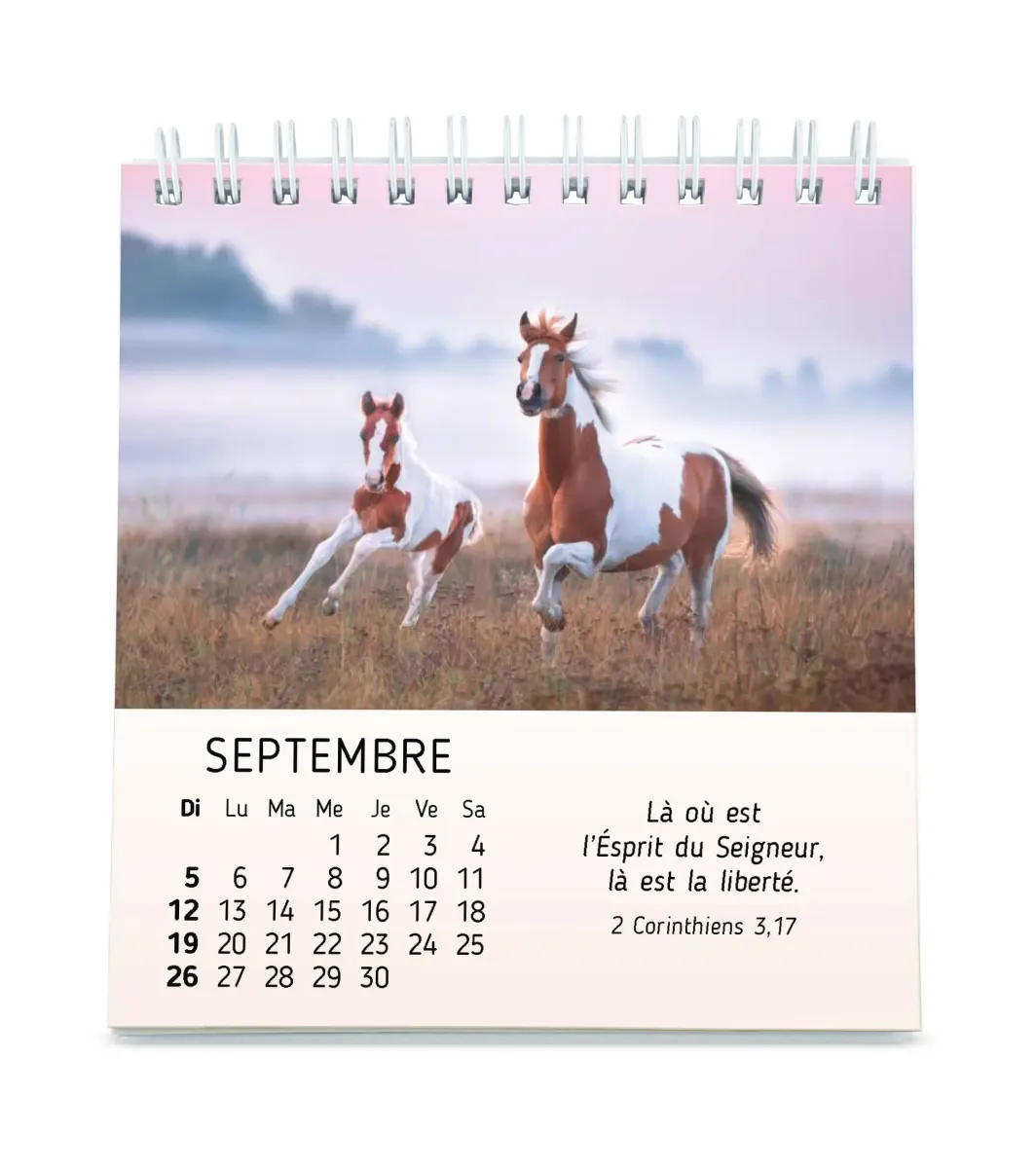 Calendrier - Mes petits amis