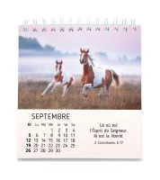 Calendrier - Mes petits amis
