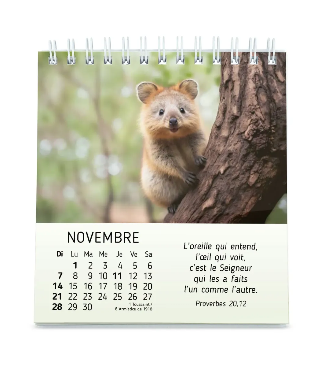 Calendrier - Mes petits amis