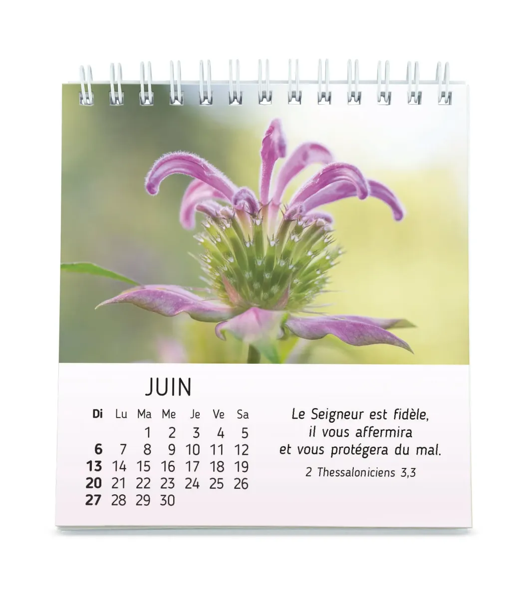 Calendrier - Nature en paix