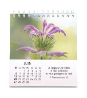 Calendrier - Nature en paix