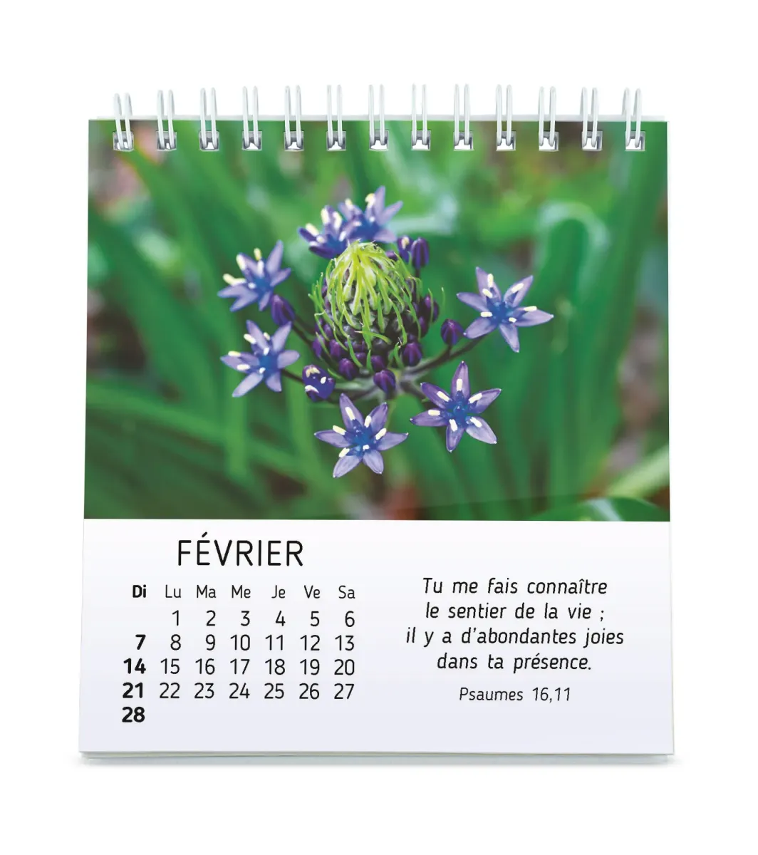 Calendrier - Floralies