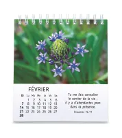 Calendrier - Floralies