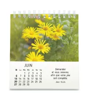 Calendrier - Floralies