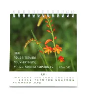 Calendrier - Pensées fleuries