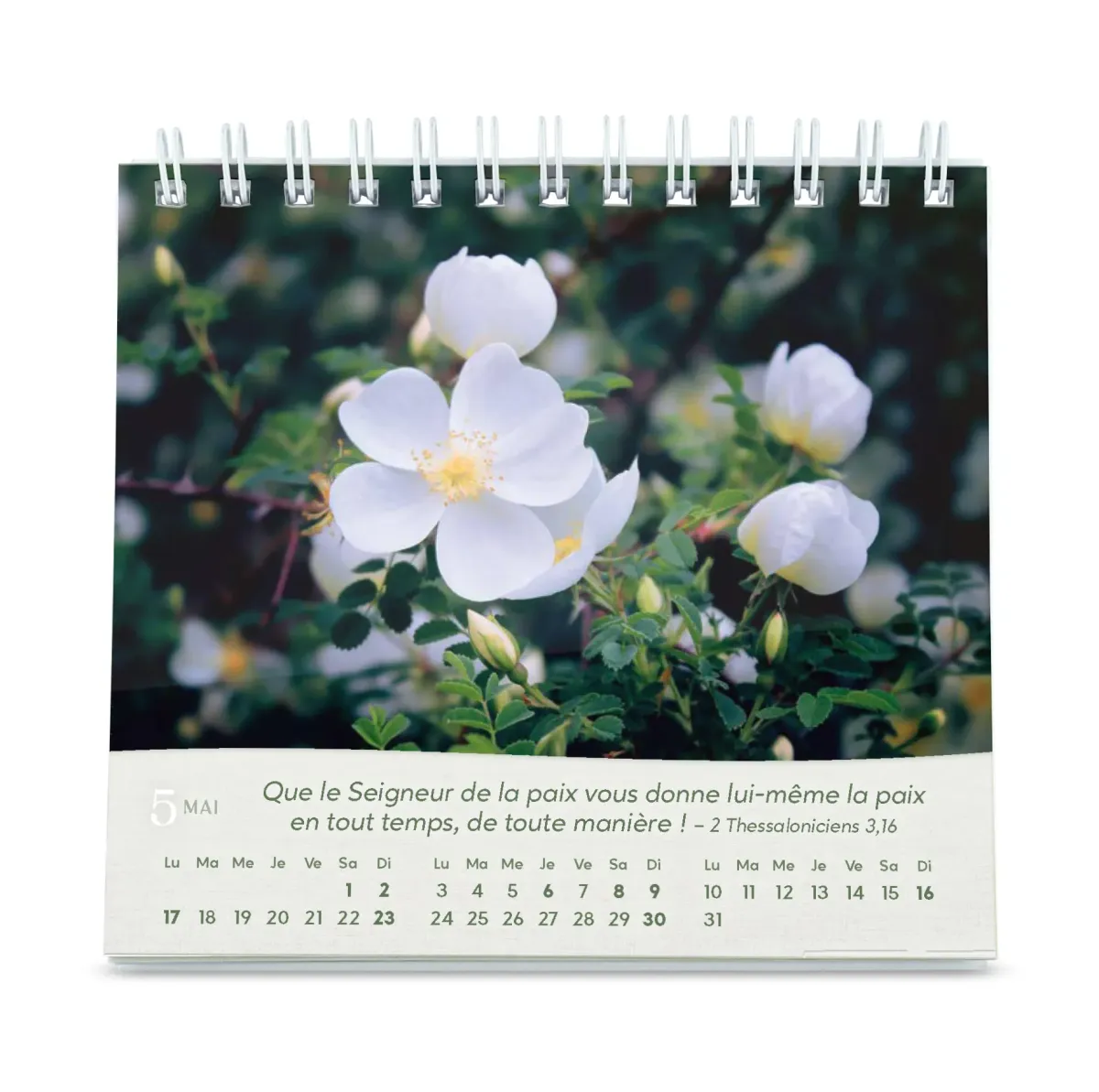 Calendrier - Roses (petit format)