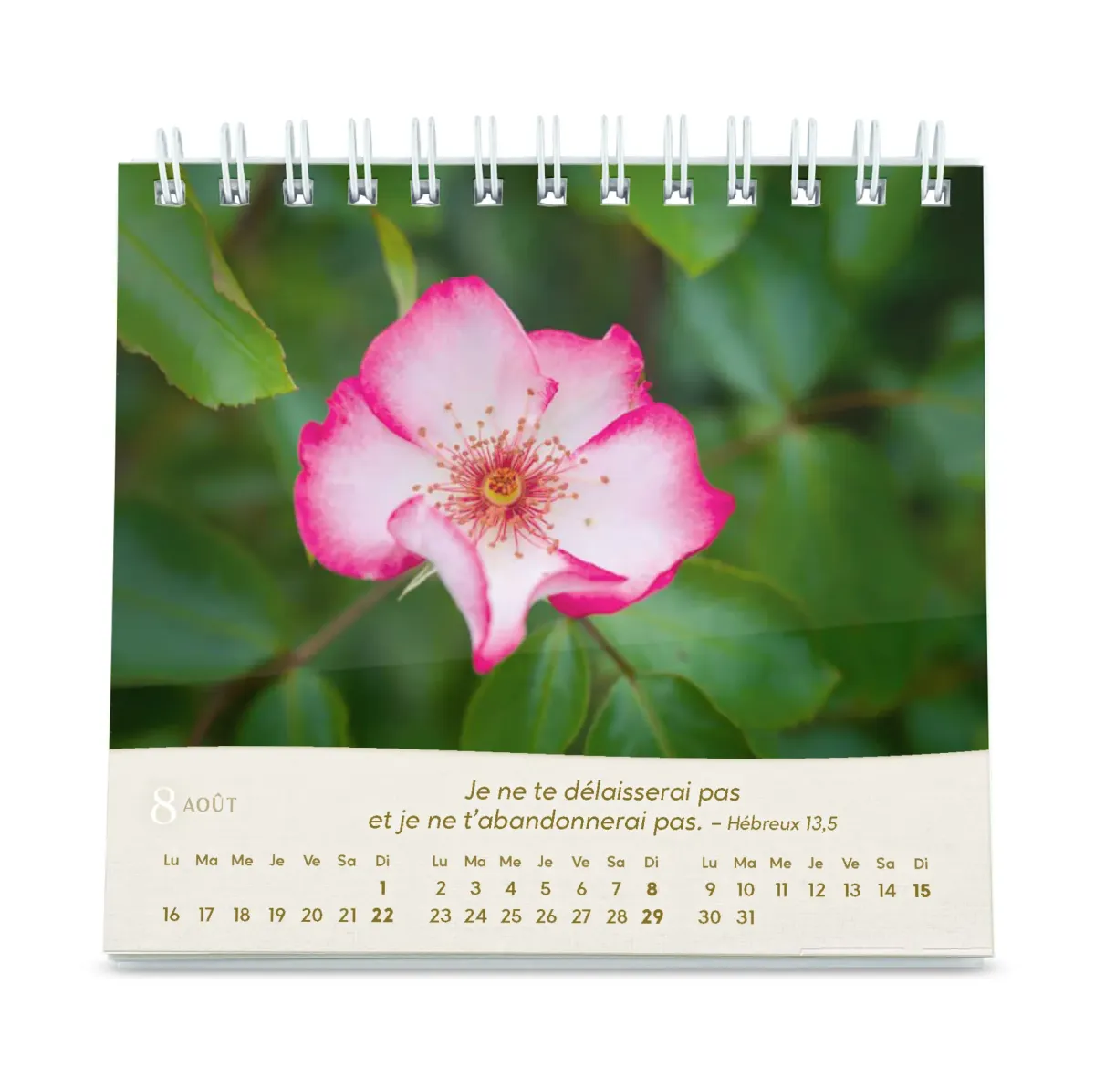 Calendrier - Roses (petit format)