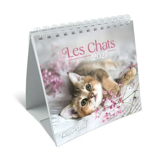 Calendrier - Les chats (petit format)