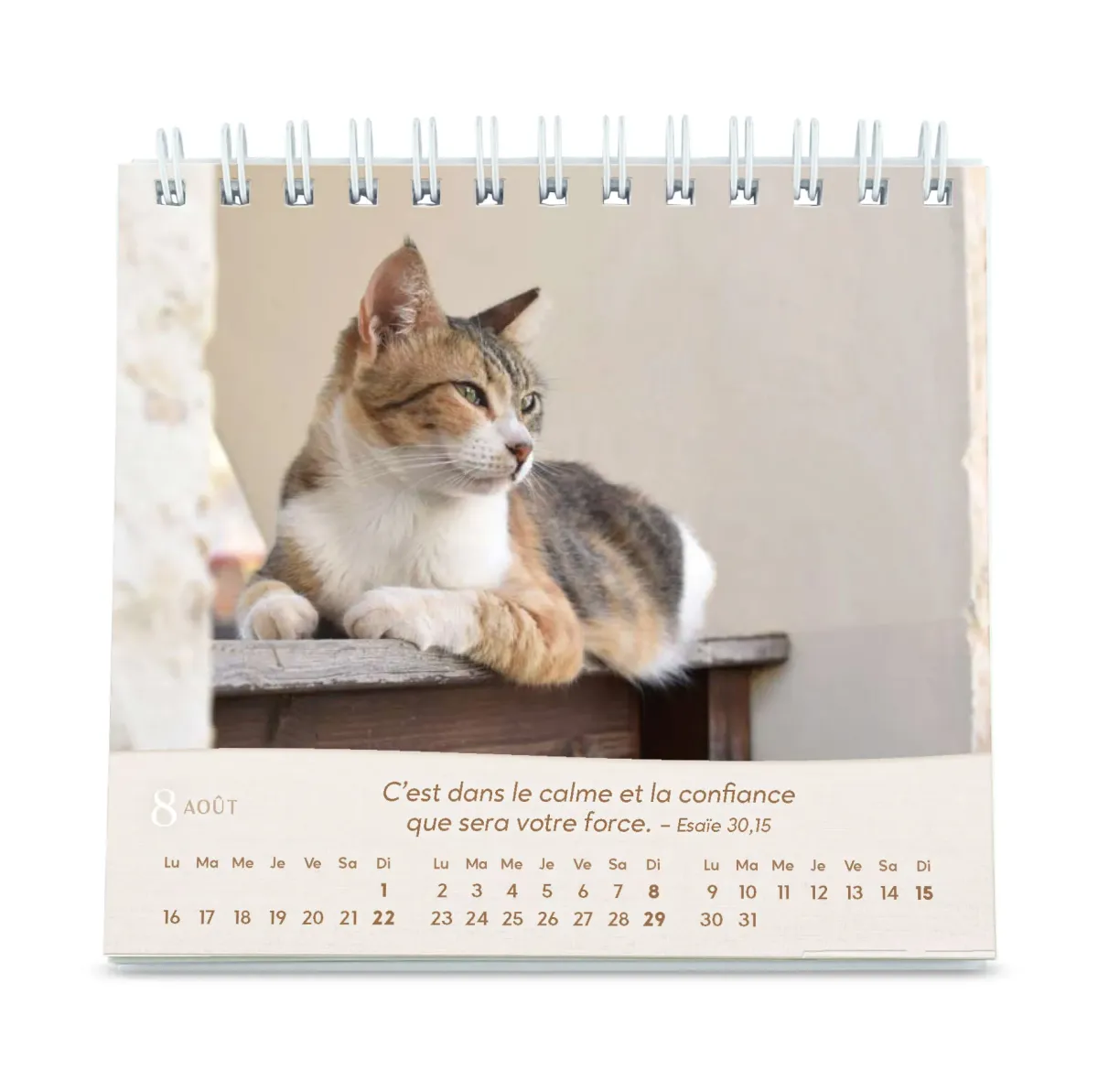 Calendrier - Les chats (petit format)