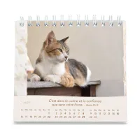 Calendrier - Les chats (petit format)