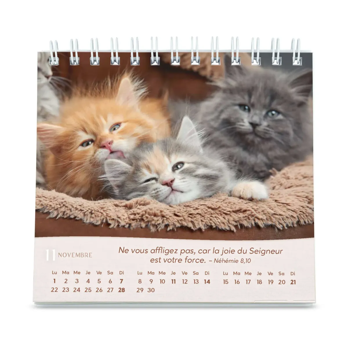 Calendrier - Les chats (petit format)