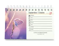 Calendrier - Tu m'accompagnes