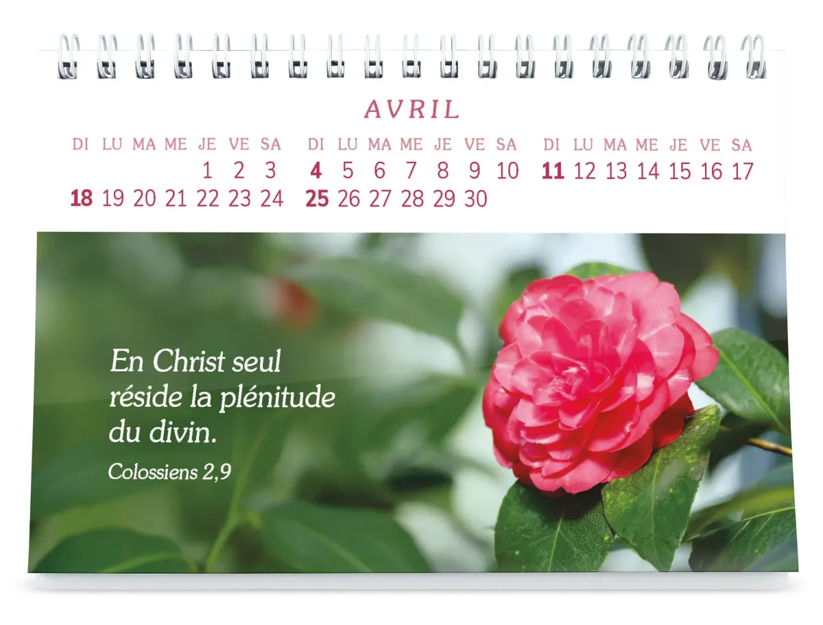 Calendrier - Plaisir d'offrir - Gros caractères