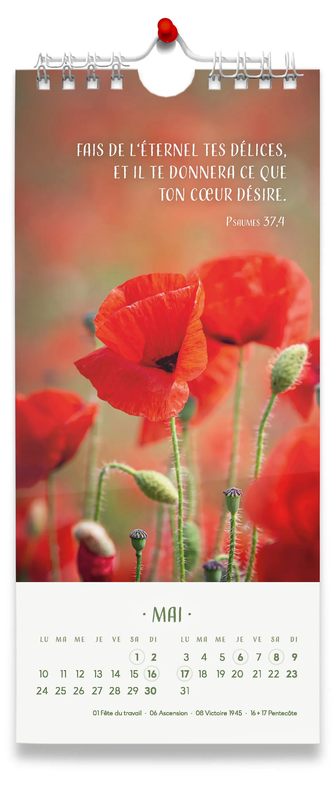 Calendrier - Fleurs avec versets bibliques
