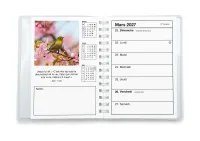Agenda color