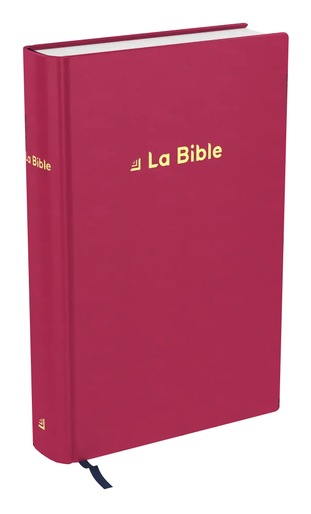 Bible Darby révisée rigide textile framboise
