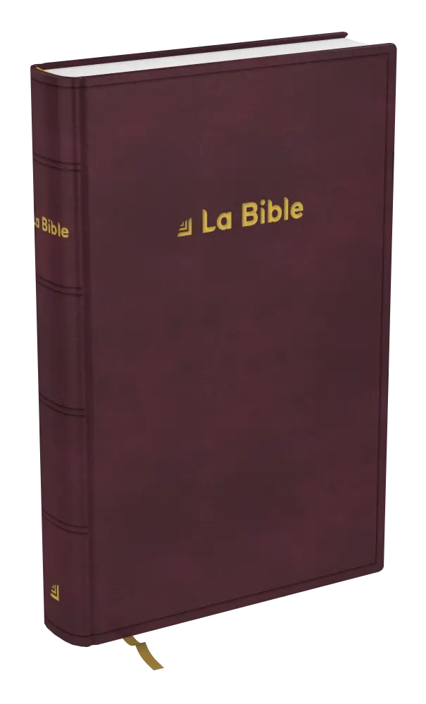 Bible Darby révisée famille rigide brun